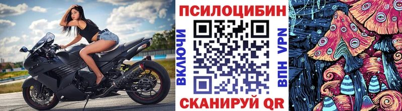 Псилоцибиновые грибы мицелий  ссылка на мегу зеркало  Михайлов 